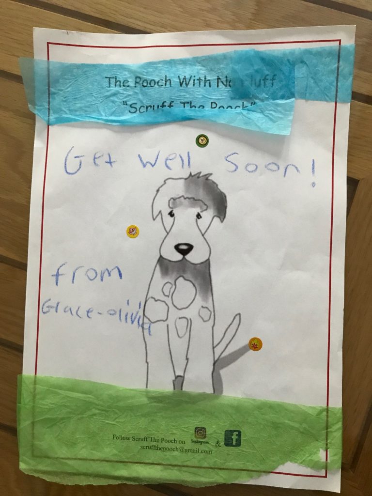 Scruff the Pooch Get Well Soon poster